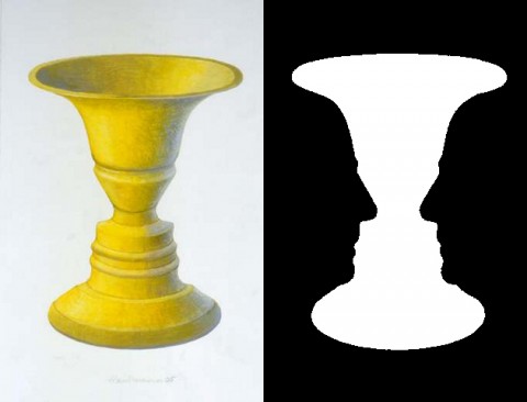 Cognitive optical illusion example