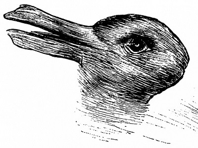 Rabbit/duck illusion